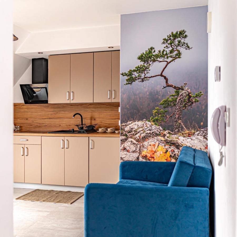 Velo Apartamenty Чорштын Экстерьер фото